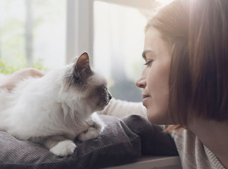 A woman and a white fluffy cat share a tender moment beside a window at the vet's office, gazing intently at each other in a serene, sunlit setting.