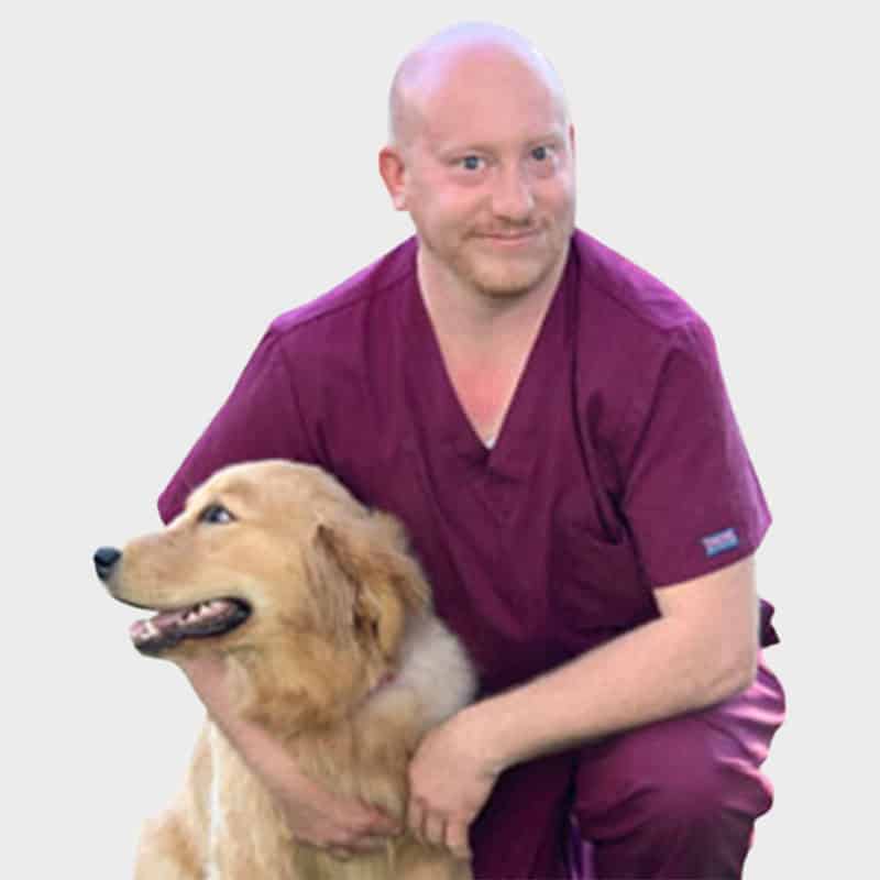A bald veterinarian wearing purple scrubs smiles while sitting behind a happy golden retriever, both posing against a plain white background.