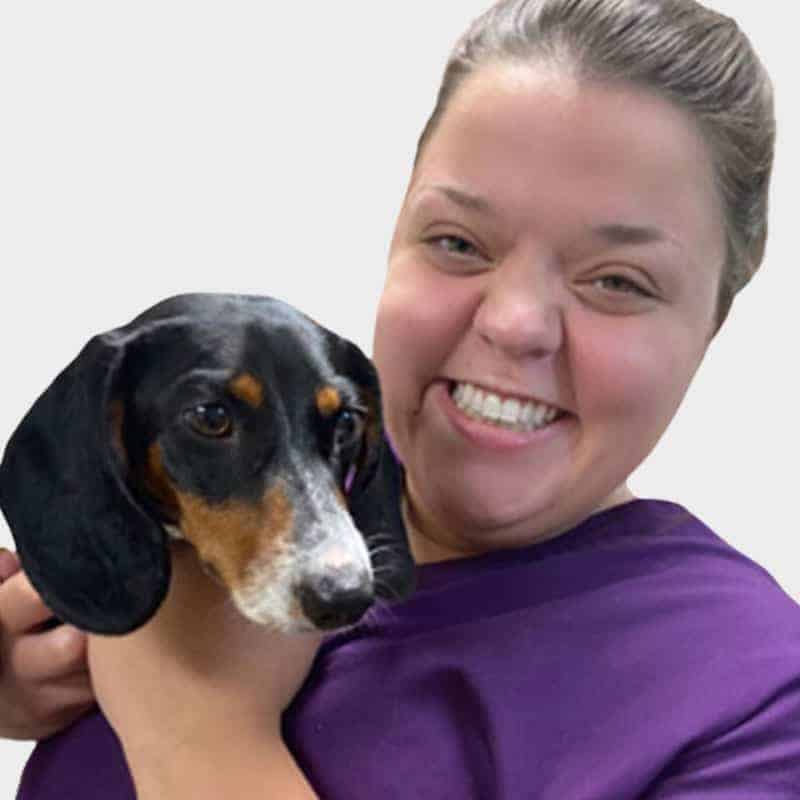 A smiling woman in a purple shirt holding a tricolor dachshund, both posing against a white background at the veterinarian's office.