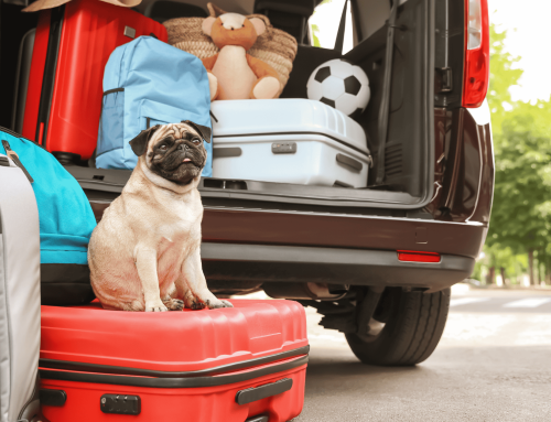 Summer Travel Safety