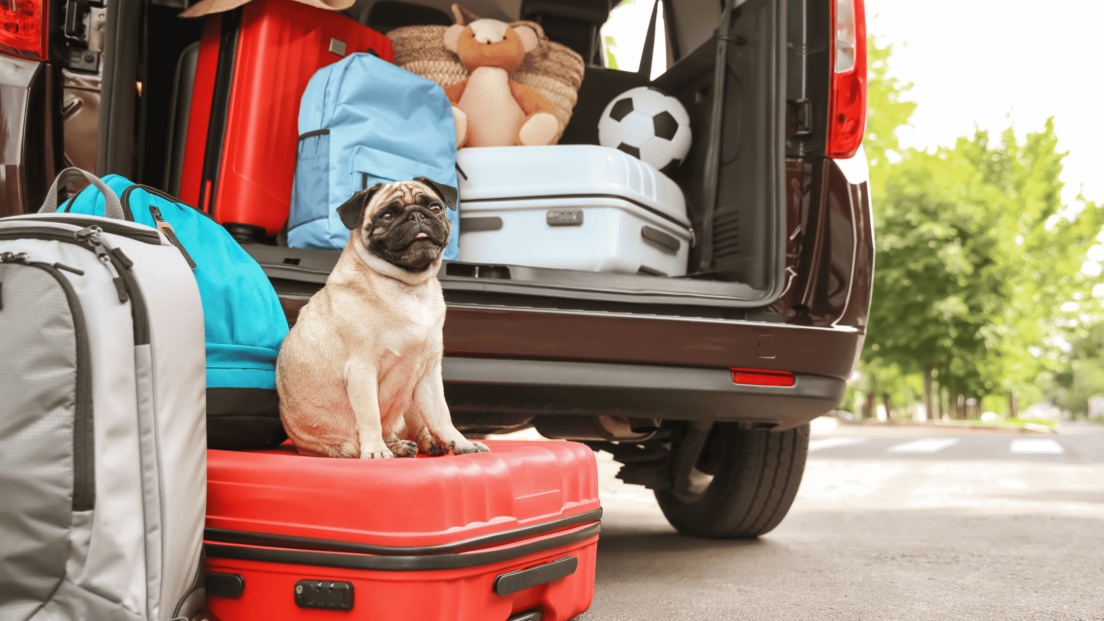 Summer Travel Safety