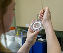 A veterinarian in a laboratory examines a circular lab device closely, holding it up to eye level. The background shows laboratory equipment.