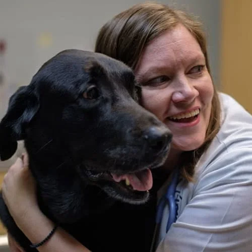 A woman in a light blue shirt smiles joyfully while embracing a black dog with a shiny coat, both looking happy and close in the warmly lit room of a veterinarian's office.