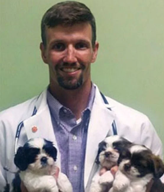 A smiling vet in a white coat holding three adorable shih tzu puppies in his arms against a plain green background.