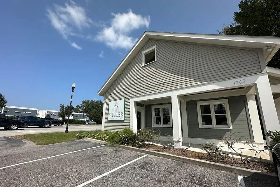 A small, white building with a grey roof labeled "veterinarian" under a sunny sky. There is a parking lot in the front and trees visible in the background.