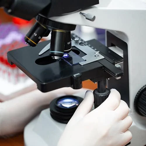 Close-up of a veterinarian's hands adjusting the focus on a microscope in a laboratory setting, with blurred scientific samples visible in the background.